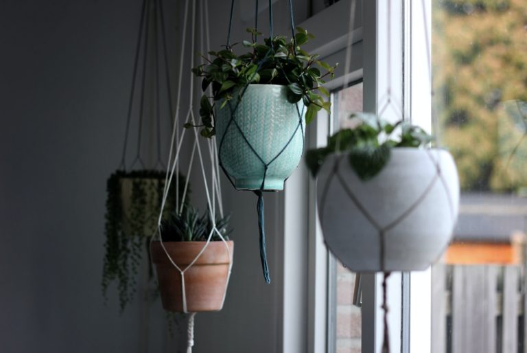 Cheap and Easy DIY Home Hanging Planters