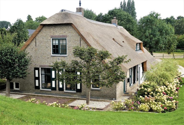 A Guide to Landscaping After Tree Removal